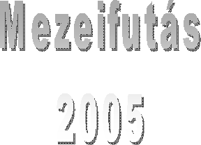 Mezeifuts
2005
